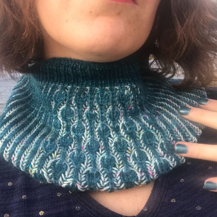 Col Fier Comme Un Paon