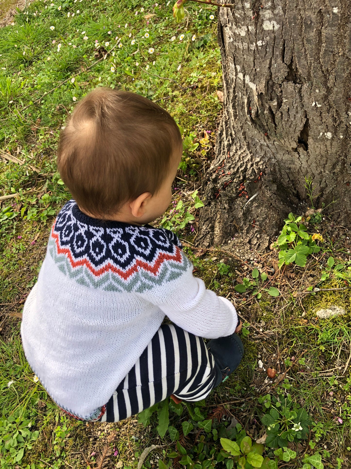 Fais pas ci fais pas ca! (little)