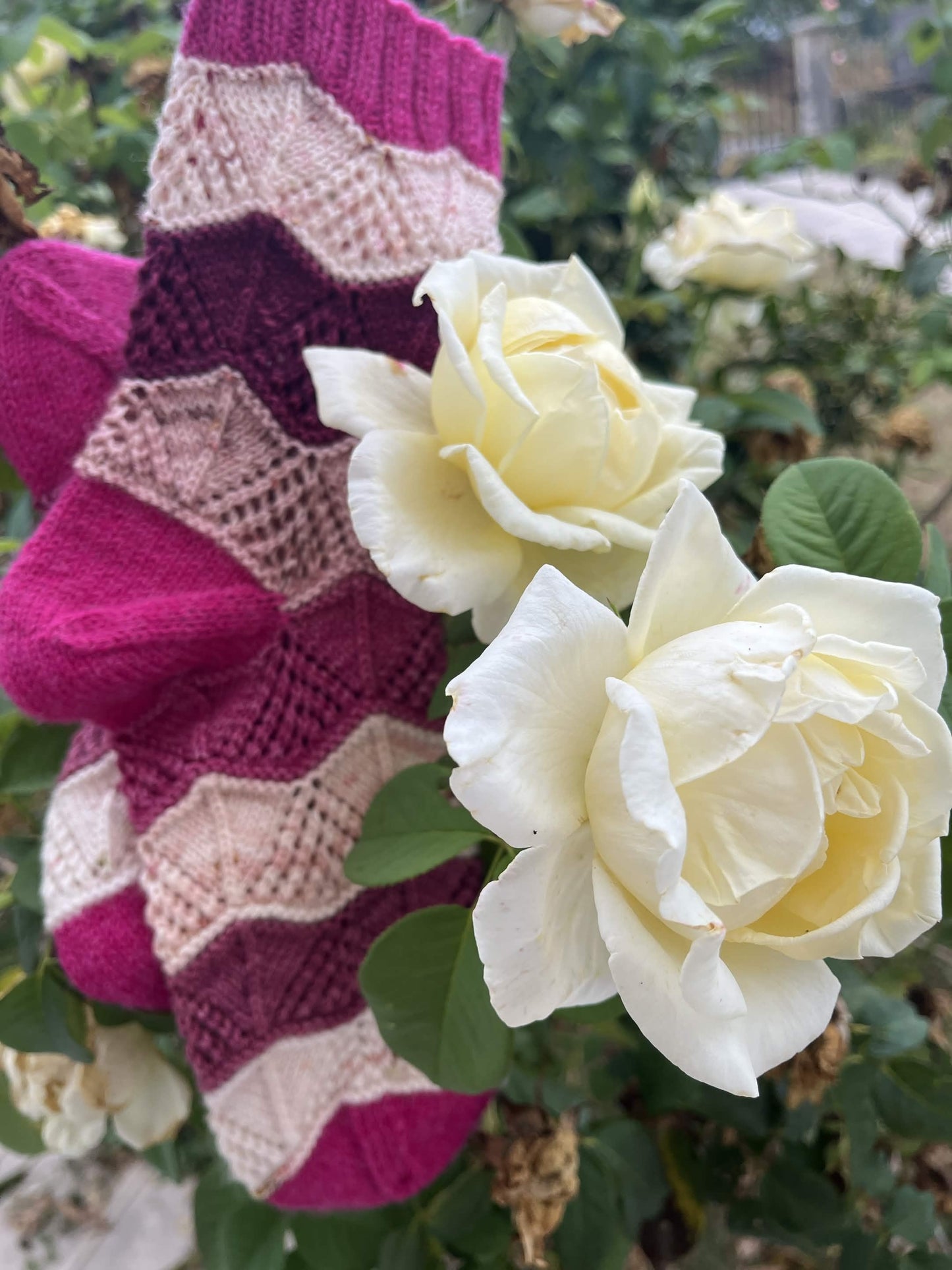 Chaussettes Onde Florale