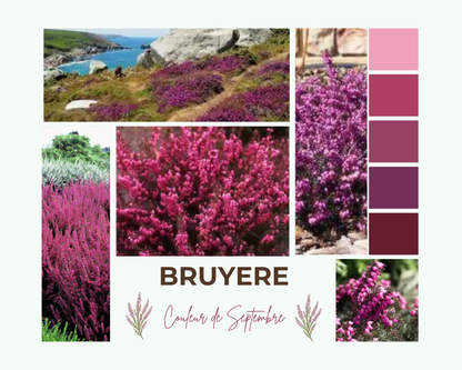 Les coloris de Septembre 2026