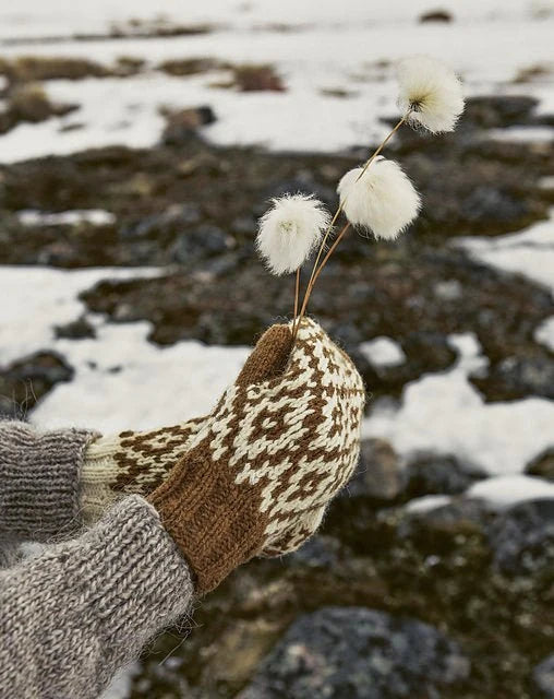 Le tricot du Grand Froid