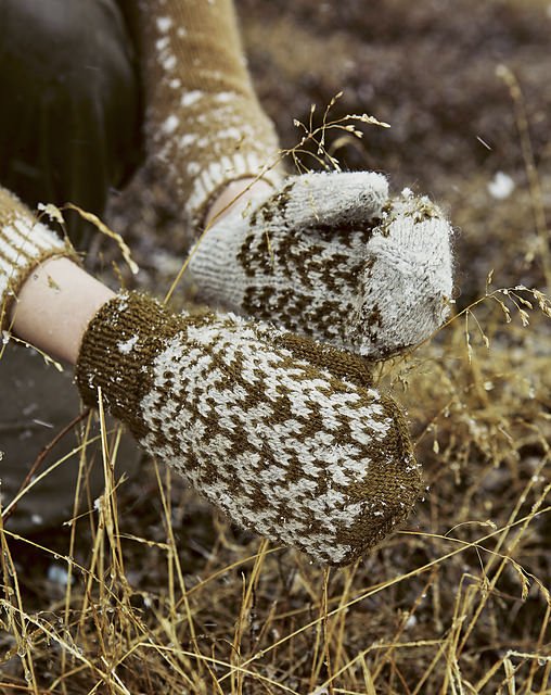 Le tricot du Grand Froid
